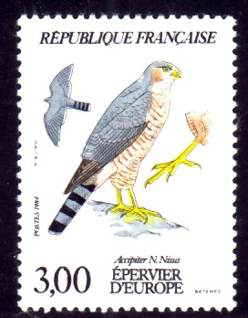 Epervier