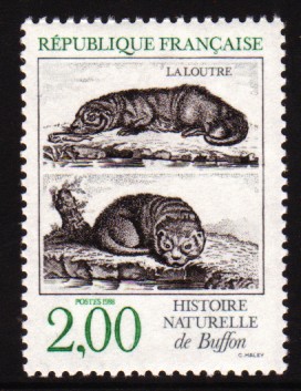 loutre