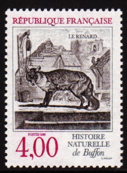 renard